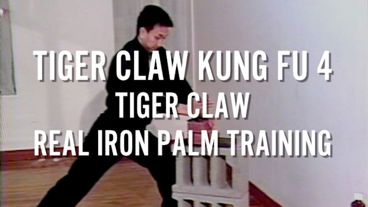 TIGER CLAW KUNG FU 4 - TIGER CLAW REAL IRON PALM TRAINING - MASTER TAK WAH ENG
